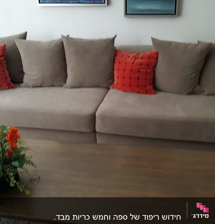 כריות אדומות ואפורות על ספה אפורה